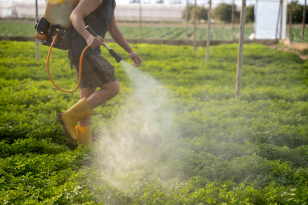 Pest Prevention Services in Mount Penn, PA
