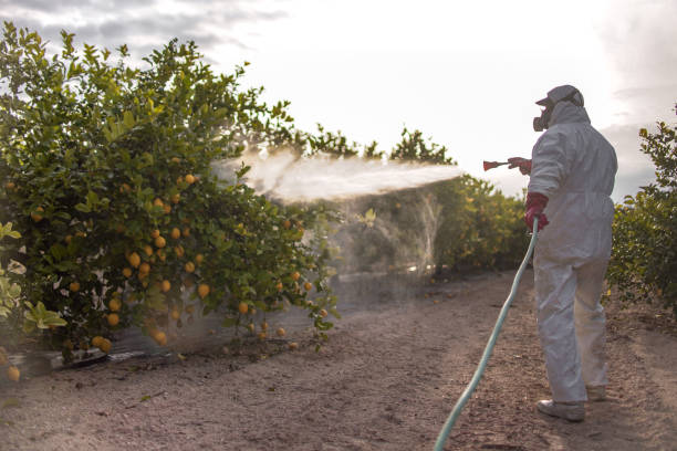 Reliable Mount Penn, PA Pest Control Solutions